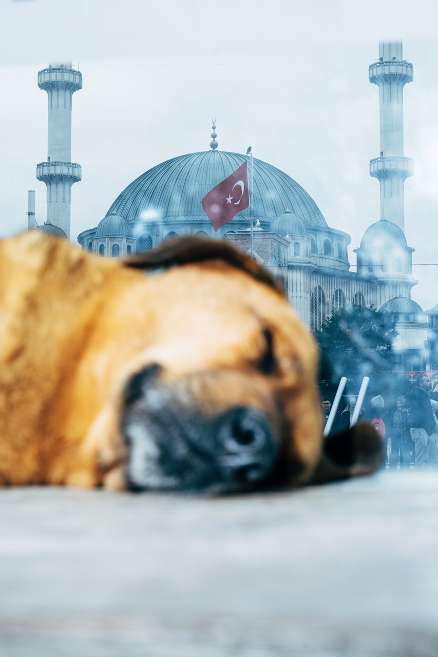 Groß (9 - -The empire strikes back - postcards from Bosphorus- 09 - c60d9bb6-be20-4069-998.jpeg